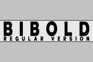 Bibold: A Technical Font for Branding