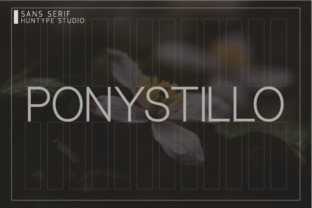 Ponystillo: A Modern Font for Elegant Design