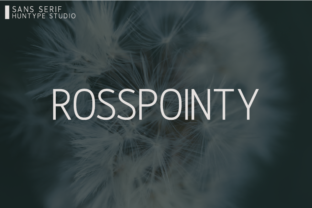 Rosspointy: A Clean Sans Serif for Web Design